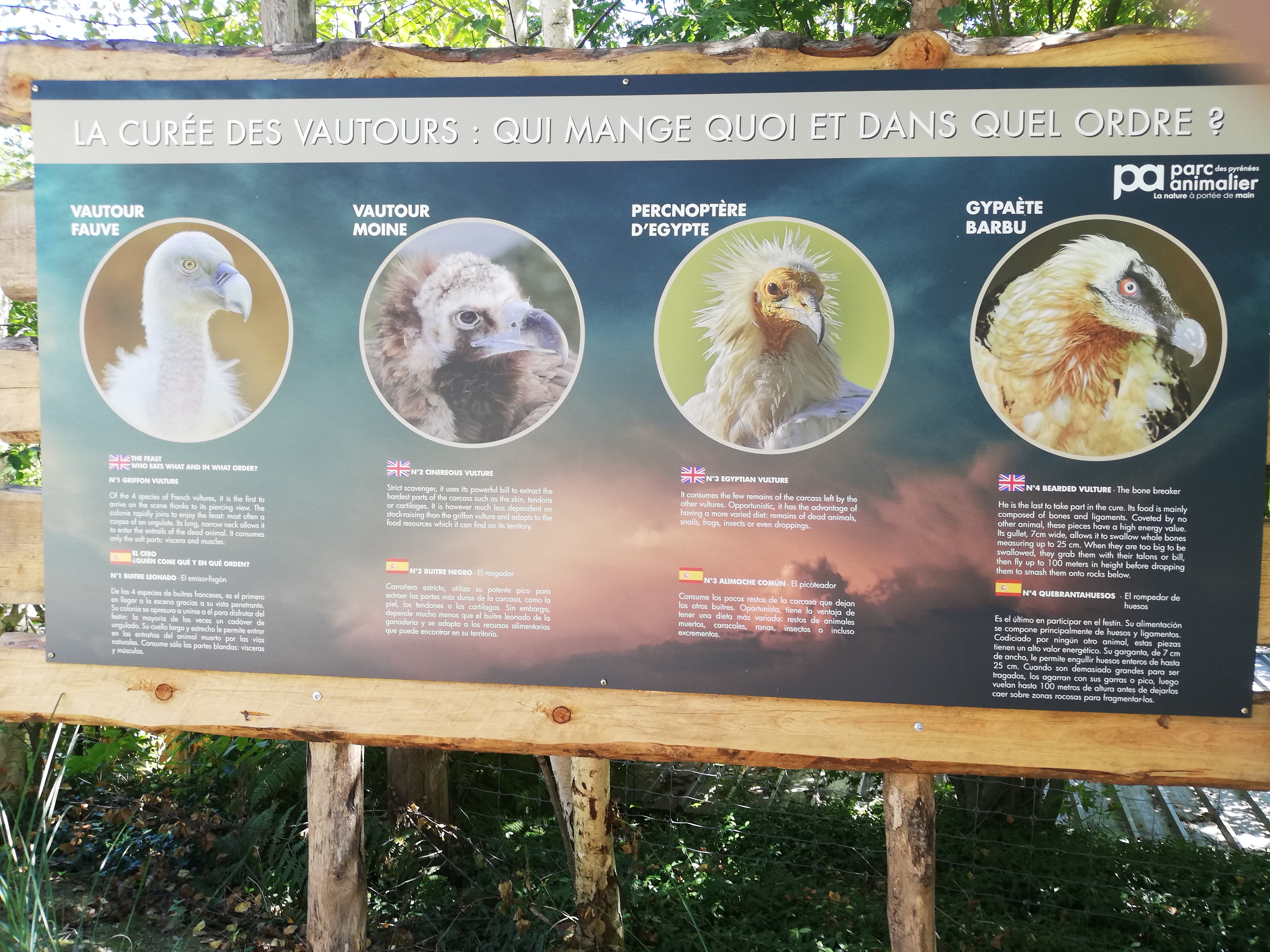 Photo n° 48 de l'avis de Soleil. fait le 20/08/2020 à 12:36