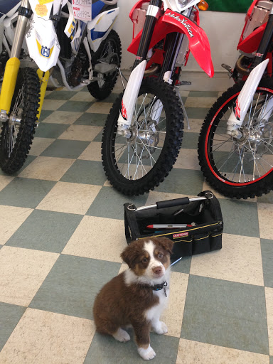 Motorcycle Dealer «MotoXotica», reviews and photos, 357 Merchant St, Vacaville, CA 95688, USA