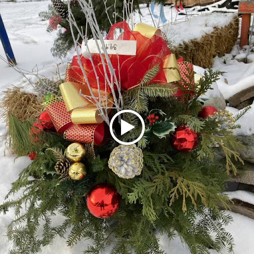 Wholesale Plant Nursery «Garden Fantasy», reviews and photos, 43250 Tyler Rd, Belleville, MI 48111, USA