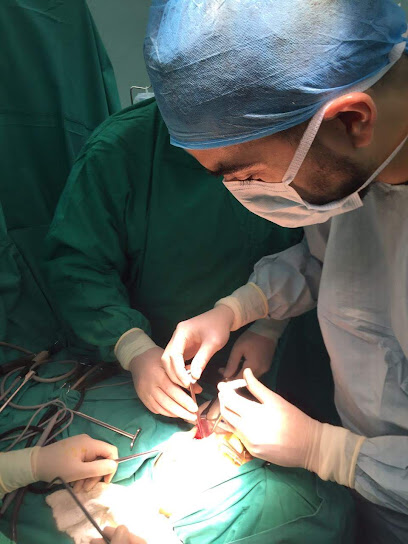 Oral and maxillofacial surgeon