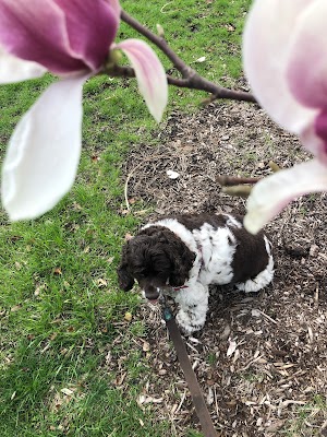 Glos Memorial Park - photo 9