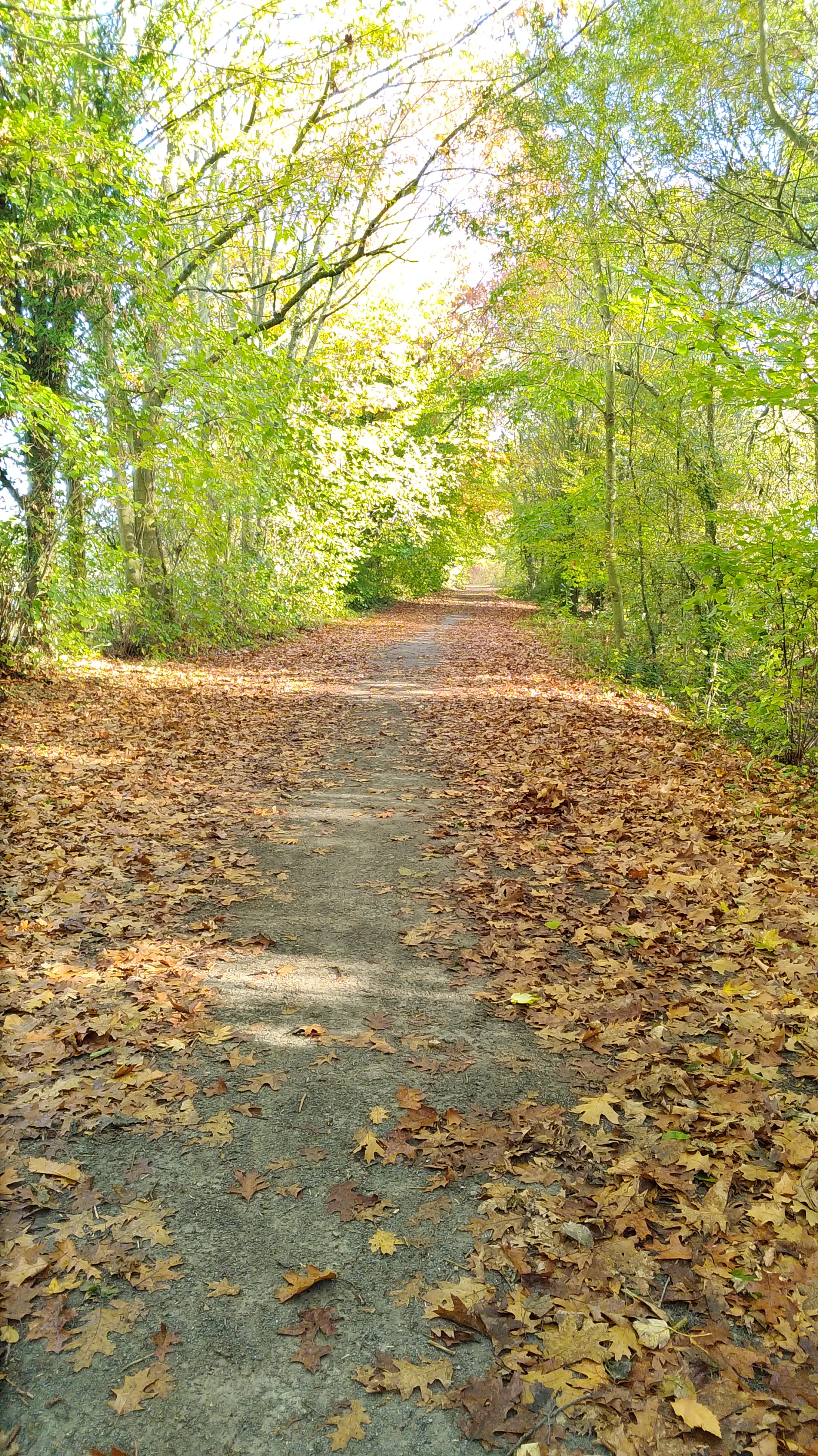 Photo n° 2 de l'avis de Sylvain.r fait le 02/11/2018 à 09:53