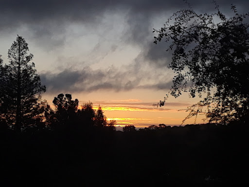 Golf Course «Stanford Golf Course», reviews and photos, 198 Junipero Serra Blvd, Stanford, CA 94305, USA