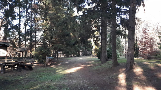 Baracsi úti Arborétum