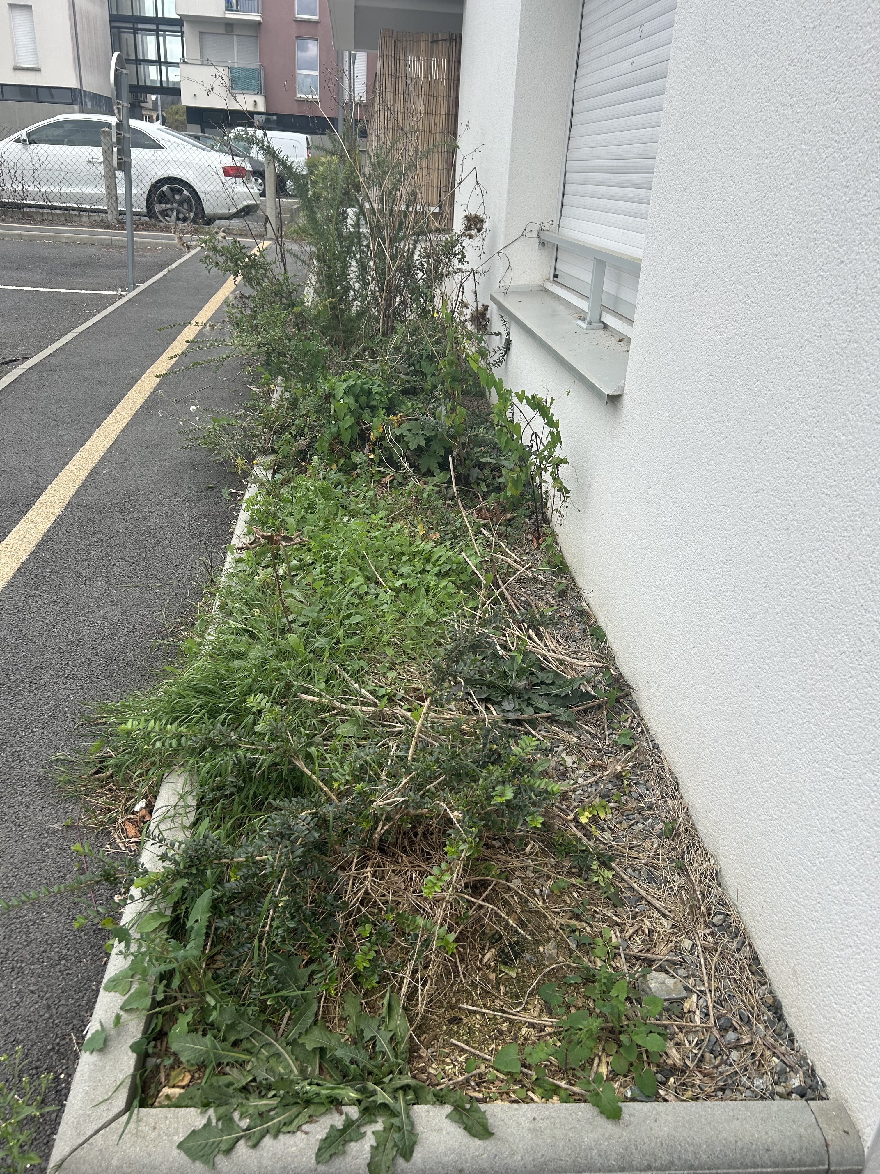 Photo n° 2 de l'avis de Lucie.r fait le 28/10/2023 à 11:56