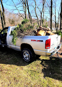 Greenthumbs Landscaping - Photo 5 - Car repair in , New Haven