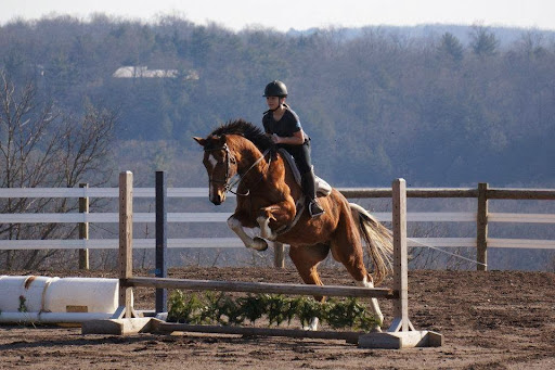 Horse Riding School «Horseng Farm LLC», reviews and photos, 6475 Warden Rd, New Tripoli, PA 18066, USA