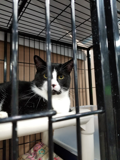 Pet Store «Pet Valu», reviews and photos, 404 E High St, Carlisle, PA 17013, USA