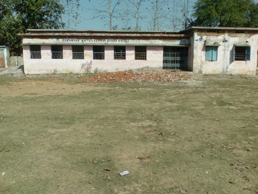 Govt.middil School
