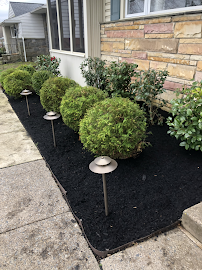 Cornish Landscaping - Photo 3 - Car repair in , Philadelphia