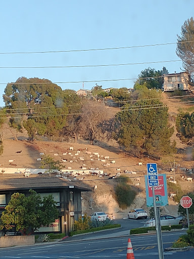 Shopping Mall «Country Hills Shopping Center», reviews and photos, 2905 Rolling Hills Rd, Torrance, CA 90505, USA