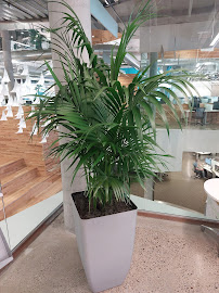 The Plant Professionals - Photo 7 - Car repair in Lansing, MI, Lansing