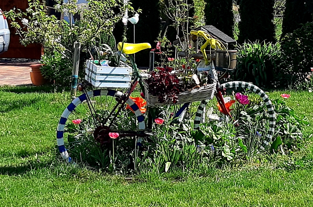 Photo n° 3 de l'avis de TINA. fait le 16/05/2019 à 17:29