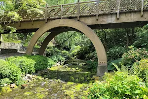 Crystal Springs Rhododendron Garden image