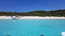 Zdjęcie Pig beach dziki obszar