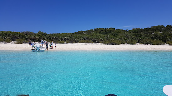 Pig beach