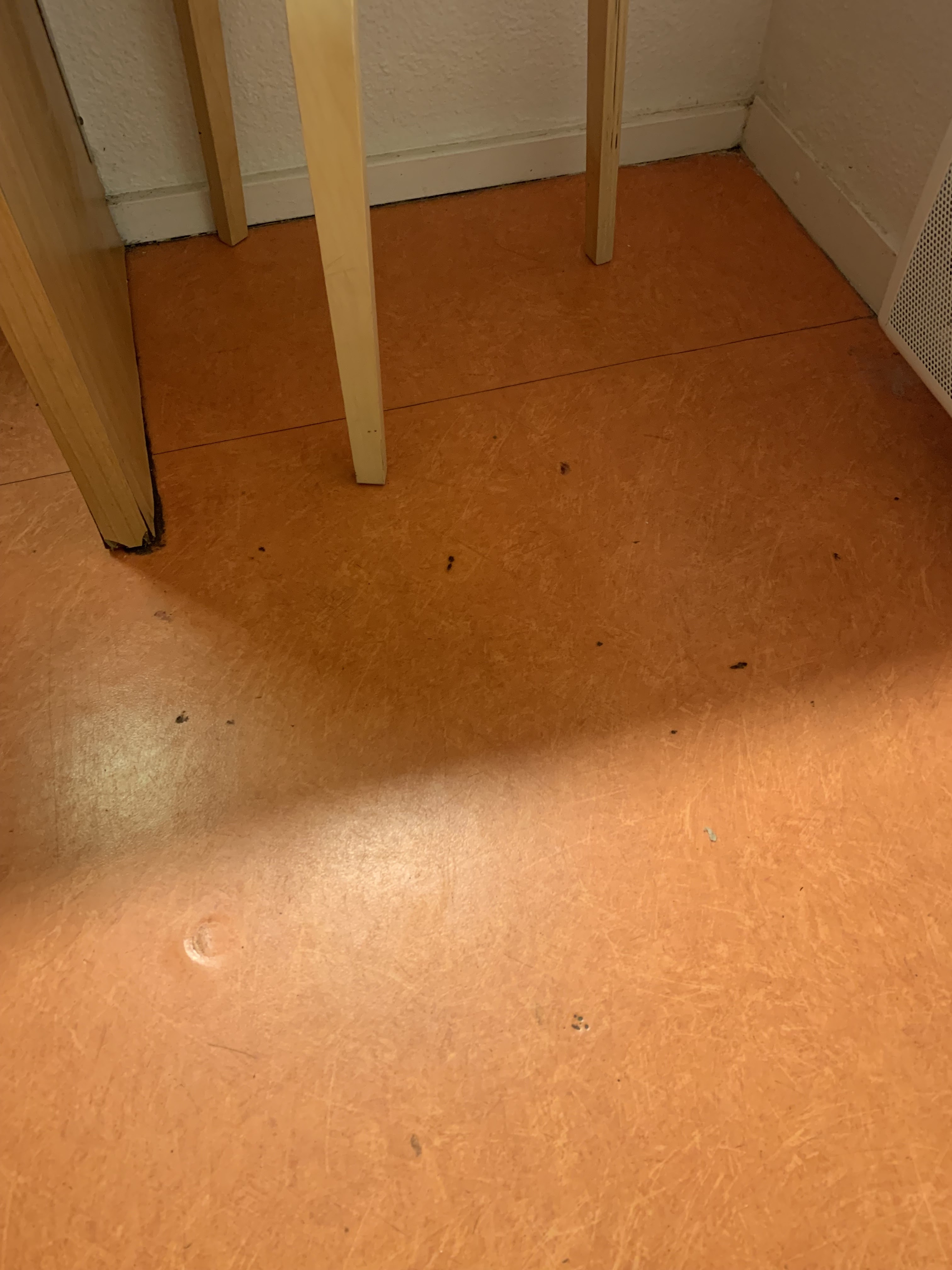 Photo n° 2 de l'avis de Nicolas.a fait le 01/08/2023 à 13:29