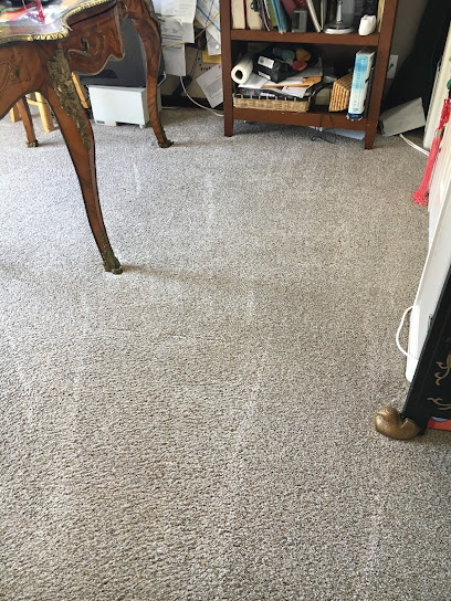 Stain Patrol Carpet Cleaning By Hugo