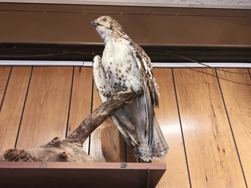 Park «Blacklick Woods Metro Park», reviews and photos, 6975 East Livingston Avenue, Reynoldsburg, OH 43068, USA