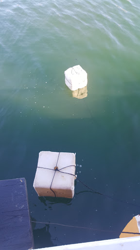 Museum «Boston Tea Party Ships & Museum», reviews and photos, 306 Congress St, Boston, MA 02210, USA