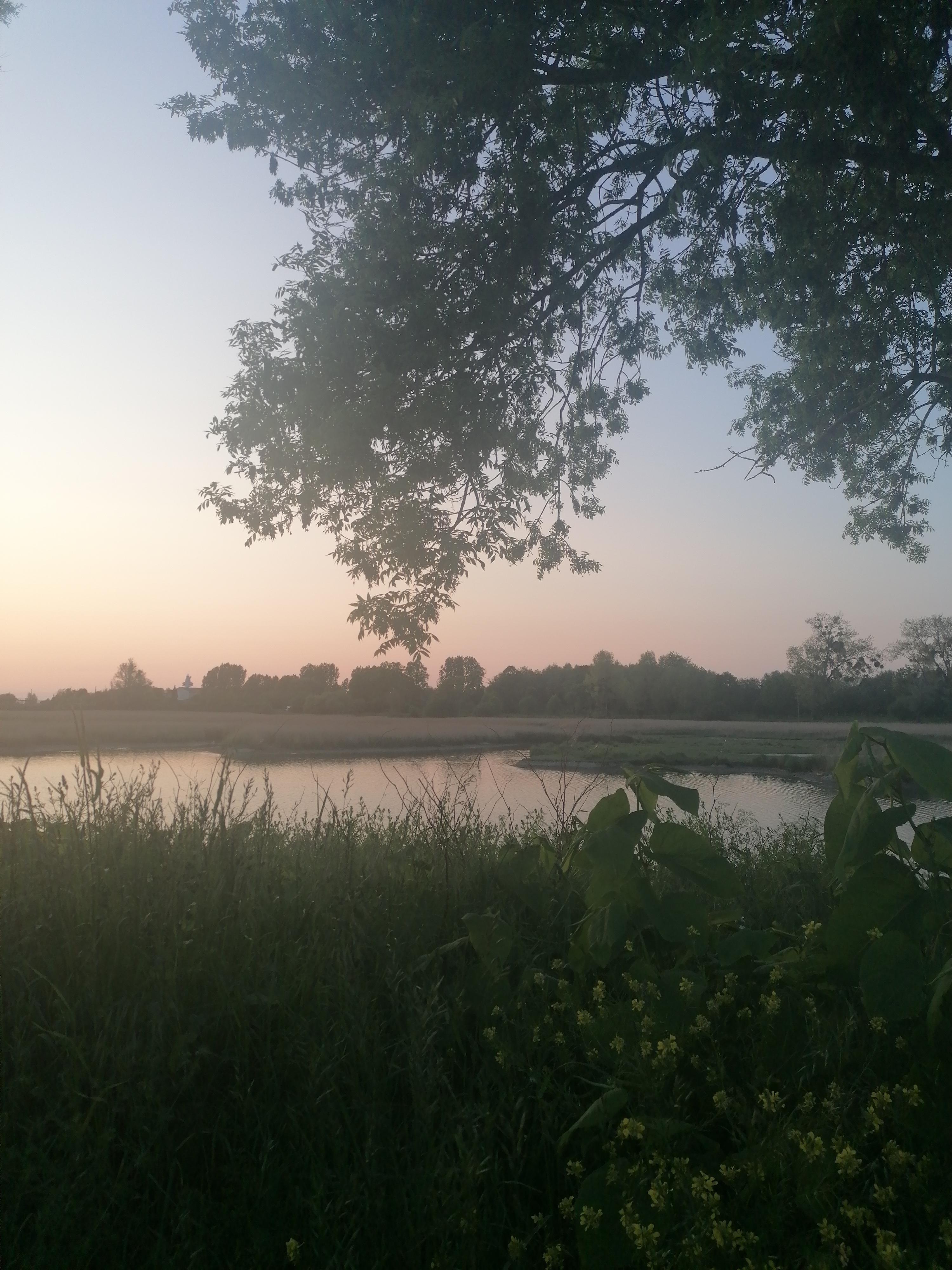 Photo n° 4 de l'avis de Jeanjacques.i fait le 16/05/2023 à 19:22