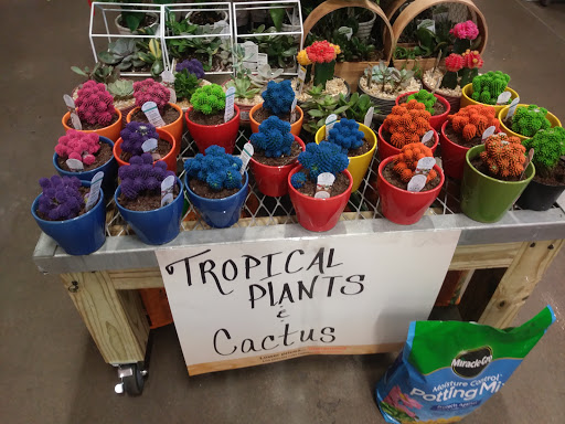 Home Improvement Store «The Home Depot», reviews and photos, 800 Truse Rd, Memphis, TN 38117, USA