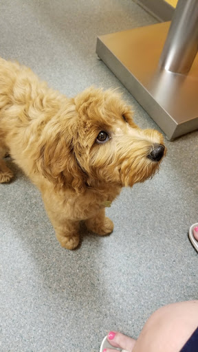 698 W 500 S, West Bountiful, UT 84087, USA