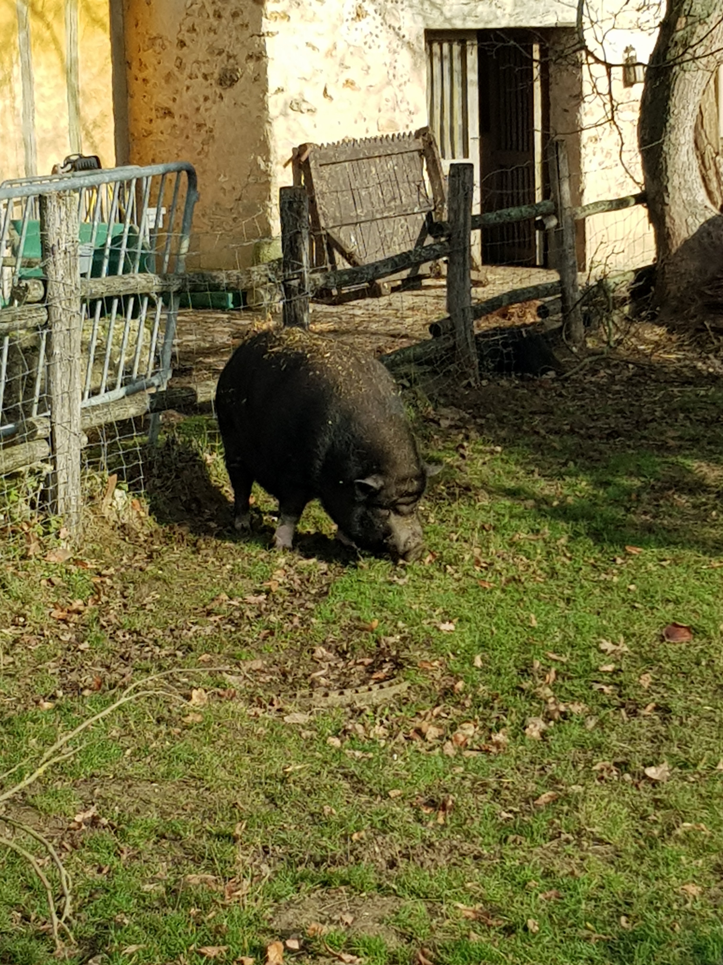 Photo n° 3 de l'avis de Linda.a fait le 10/01/2019 à 19:15