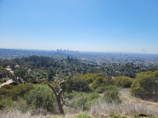 Glendale Peak