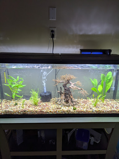 Pet Store «Miles of Exotics», reviews and photos, 8350 N Broadway, Kansas City, MO 64118, USA