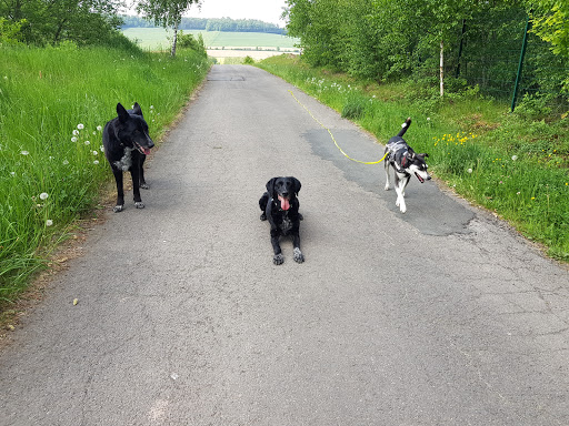 Tierarztpraxis Hannen unter Marienmünster, Nordrhein-Westfalen