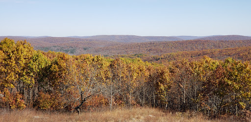 St. Francois Mountains