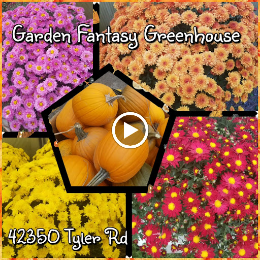 Wholesale Plant Nursery «Garden Fantasy», reviews and photos, 43250 Tyler Rd, Belleville, MI 48111, USA