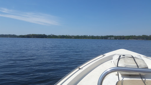 National Forest «Ocala National Forest», reviews and photos, FL-40, Silver Springs, FL 34488, USA