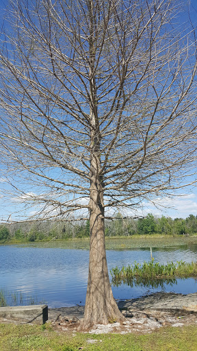 Park «Red Bug Lake Park», reviews and photos, 3600 Red Bug Lake Rd, Casselberry, FL 32707, USA