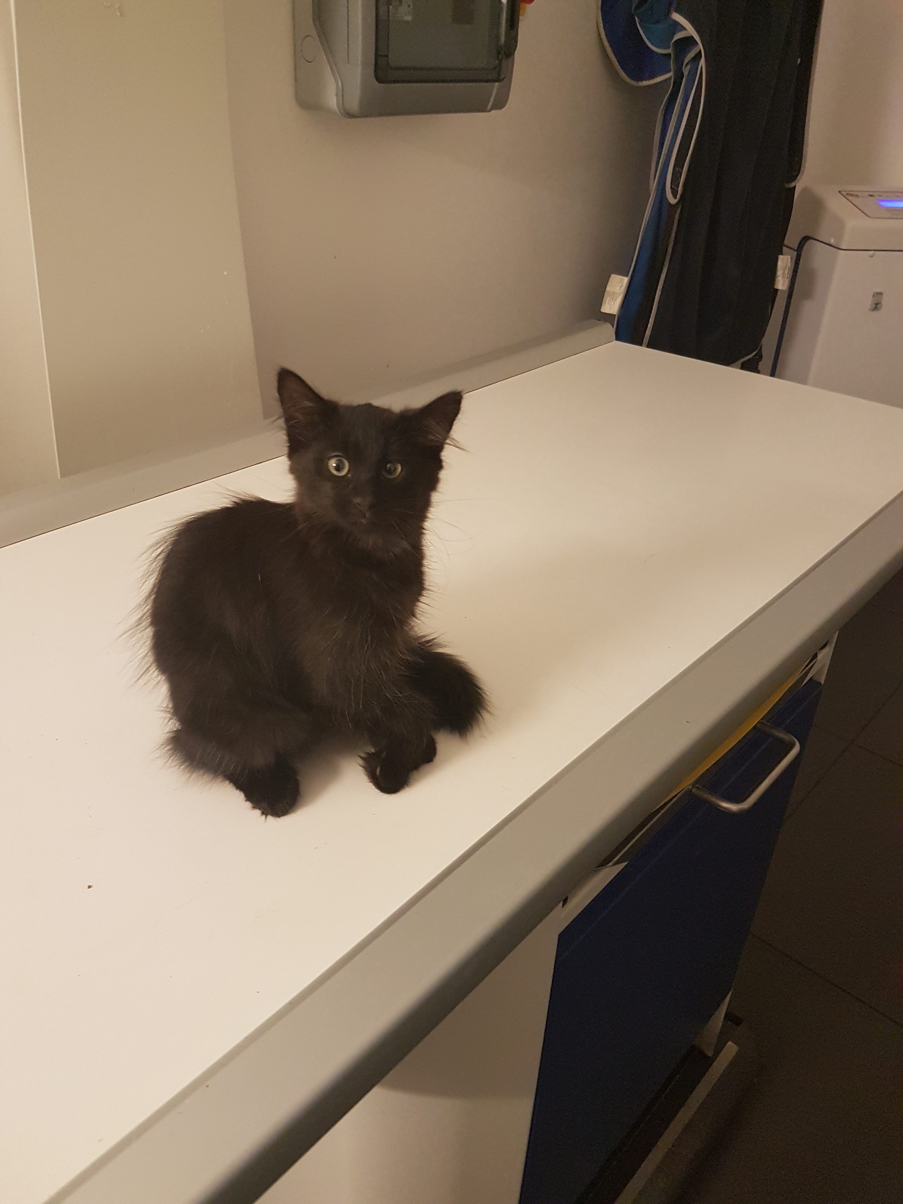 Photo n° 2 de l'avis de Claudia.n fait le 16/10/2019 à 06:41