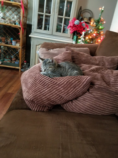 Pet Supply Store «PetSmart», reviews and photos, 3370 Shoppers Dr, McHenry, IL 60050, USA