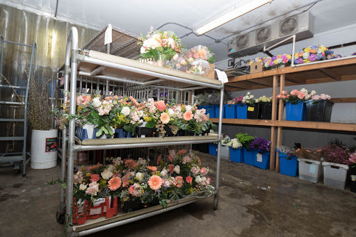 Florist «Rich Mar Florist», reviews and photos, 749 Mill St, Allentown, PA 18103, USA