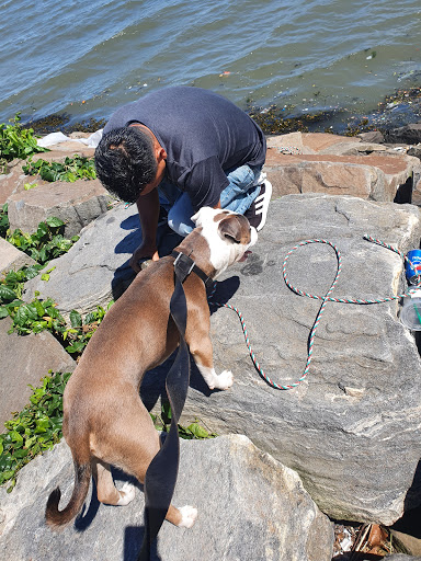 Pet Supply Store «Pet Supplies Plus», reviews and photos, 458 Hempstead Turnpike, West Hempstead, NY 11552, USA