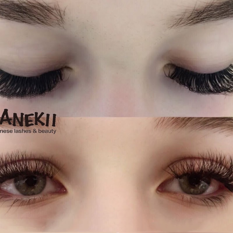 Manekii Wimpernverlängerung Köln