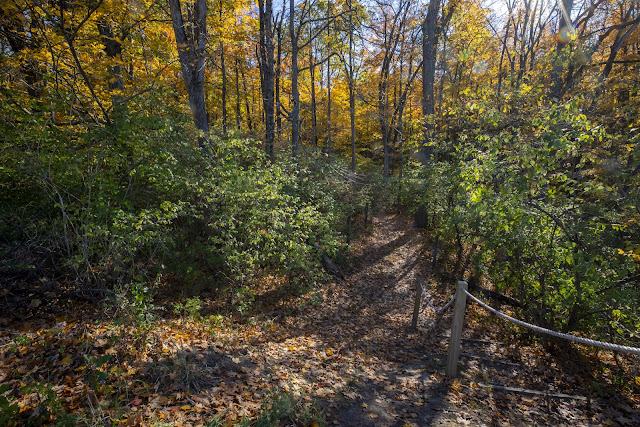 Miami University Nature Trail
