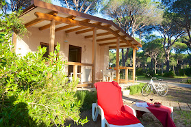 Cieloverde Camping Village - Camping Bungalow in Toscana