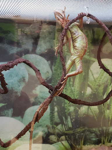 Pet Supply Store «Petco Animal Supplies», reviews and photos, 13127 N Dale Mabry Hwy, Tampa, FL 33618, USA