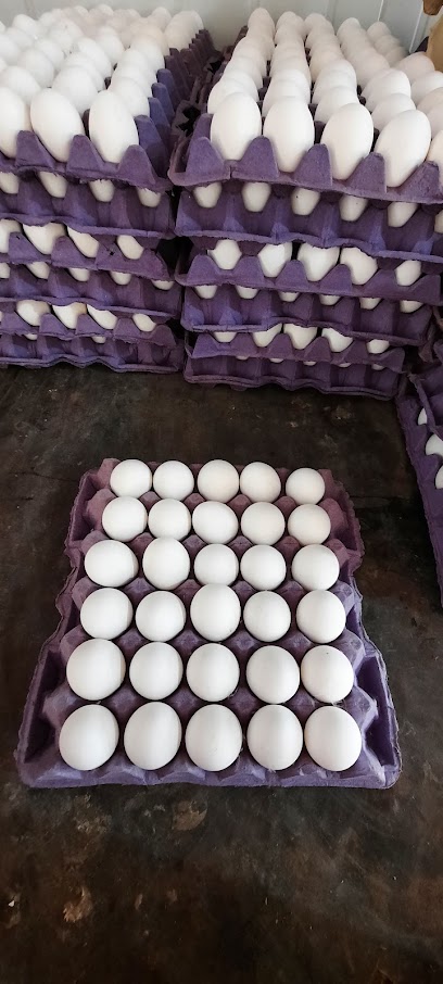 Huevos Marcelo