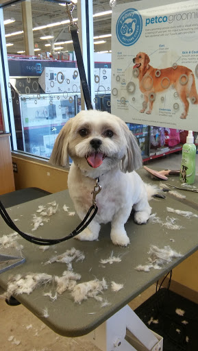 Pet Supply Store «Petco Animal Supplies», reviews and photos, 17132 W Colfax Ave, Golden, CO 80401, USA