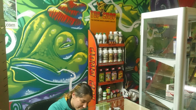 Opinii despre Semillas de Cannabis Chile în Puente Alto - Centro de jardinería