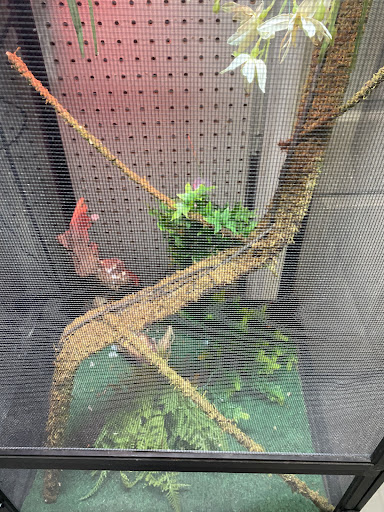 Pet Supply Store «Coastline Pet Supply», reviews and photos, 3530 Northgate Dr, Myrtle Beach, SC 29588, USA