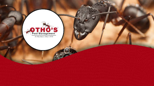 Otho's Pest Management