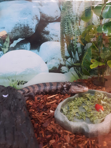 Pet Supply Store «Petco Animal Supplies», reviews and photos, 175 Grandview Blvd #600, Madison, MS 39110, USA