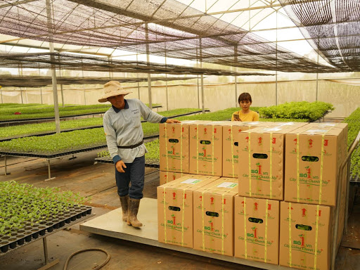 Công ty TNHH Bá Trai - Nhà máy chế biến chanh dây và rau quả đông lạnh xuất khẩu.